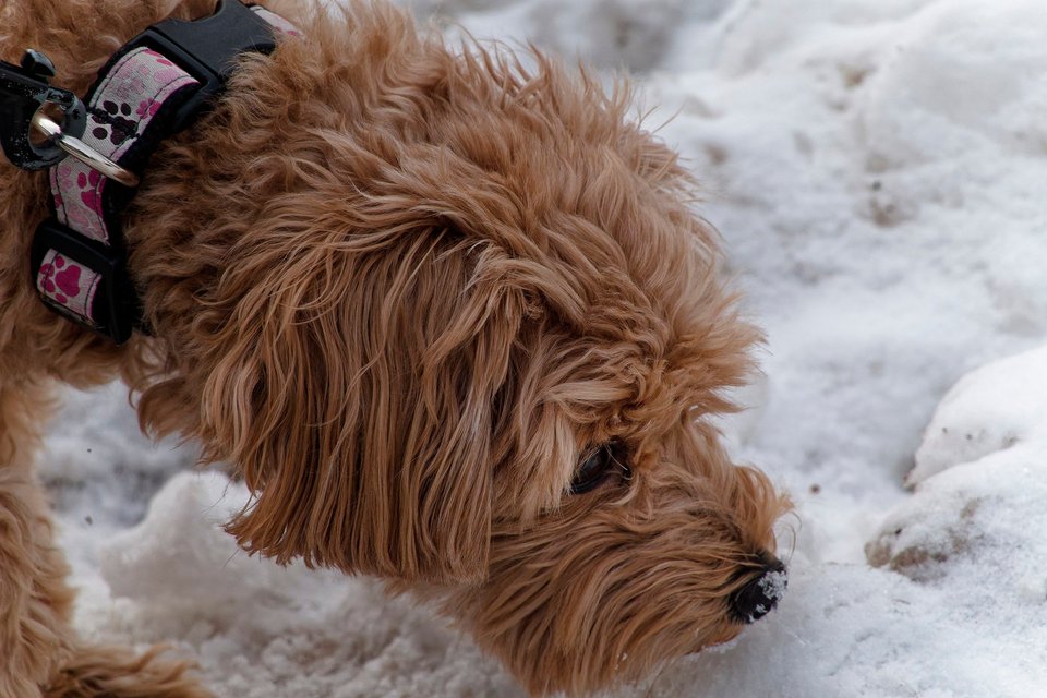 _DSC3151_DxO.jpg
