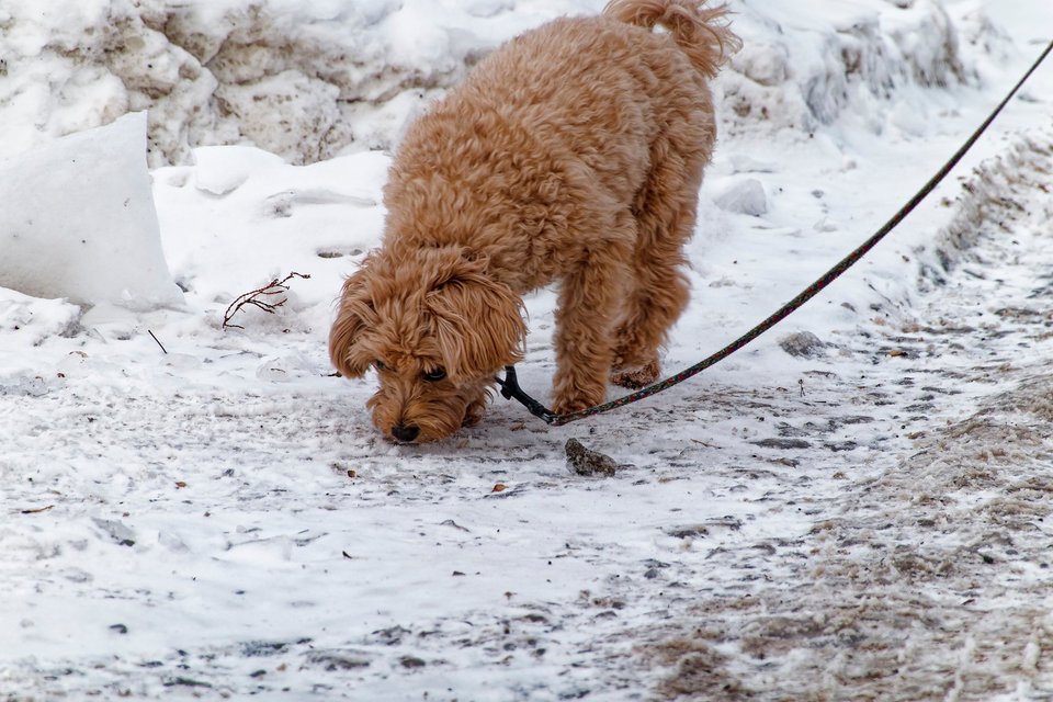 _DSC3182_DxO.jpg