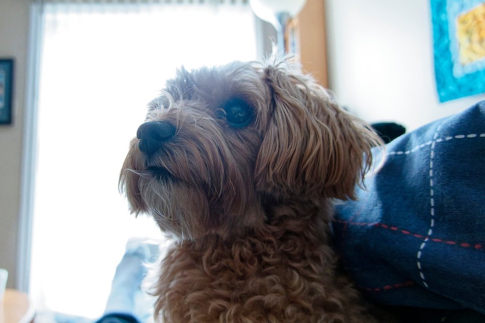 _DSC3053_DxO.jpg