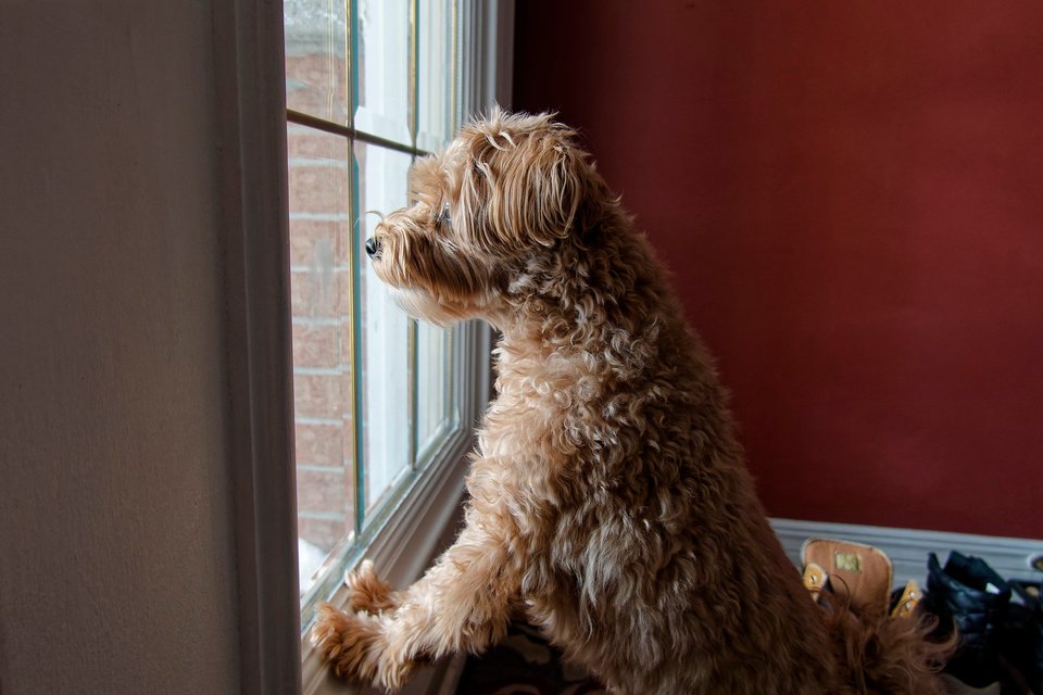 _DSC3050_DxO.jpg