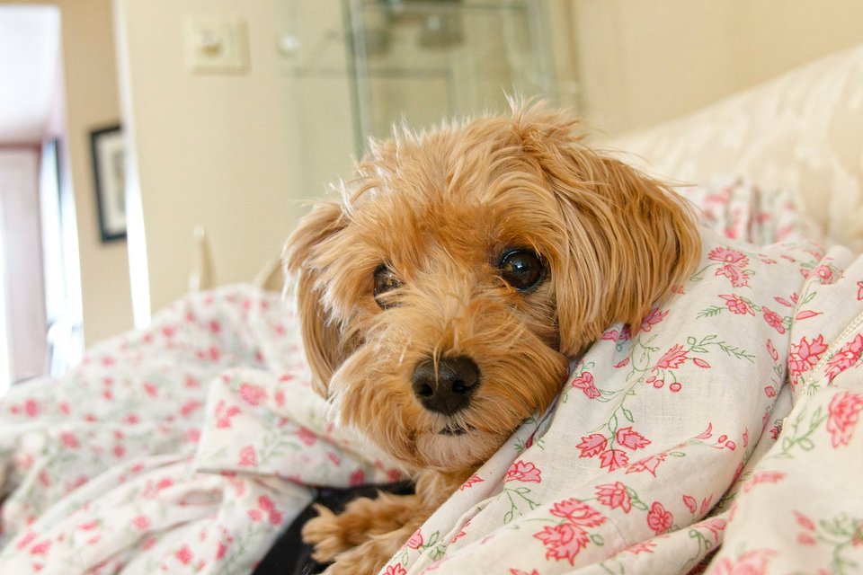 _DSC2859_DxO.jpg