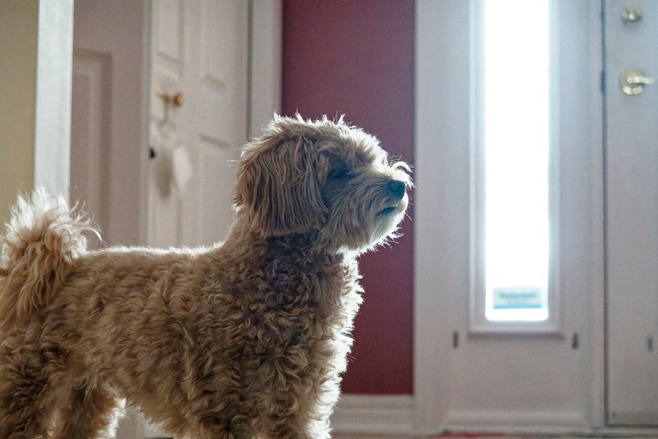 _DSC3015_DxO.jpg