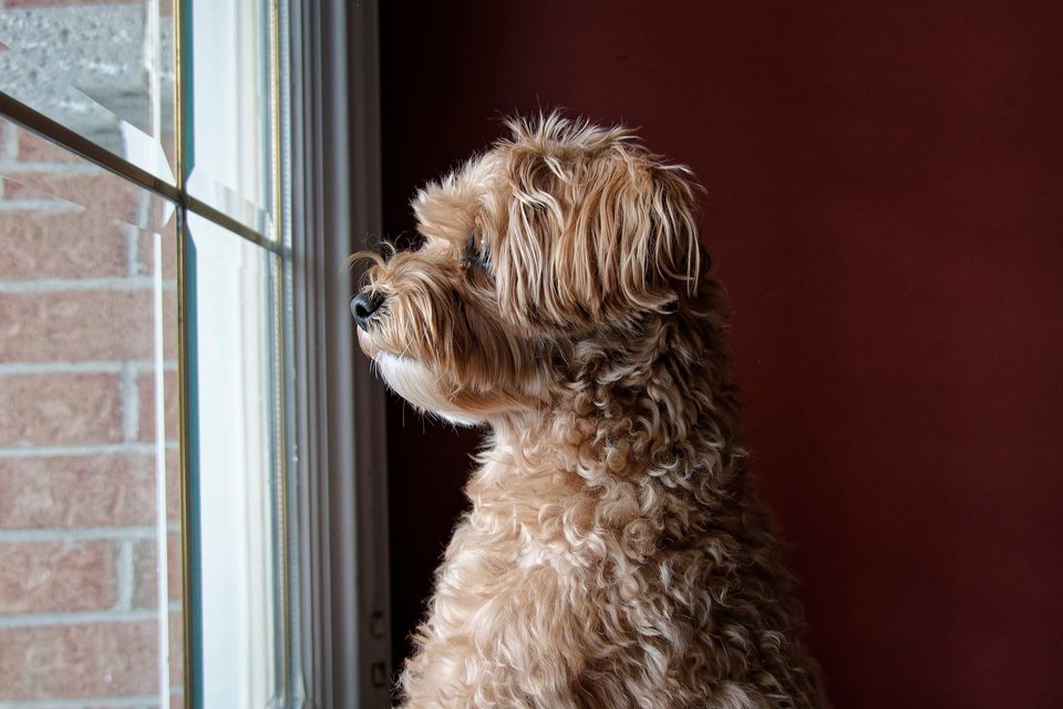 _DSC3001_DxO.jpg