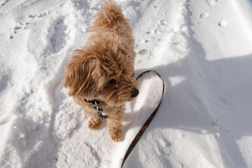 _DSC2812_DxO.jpg