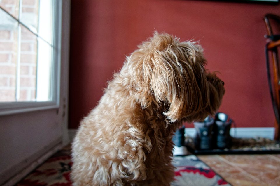 _DSC3010_DxO.jpg