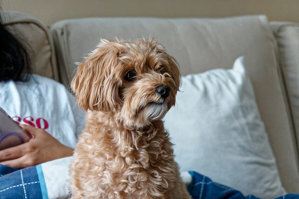 _DSC3028_DxO.jpg