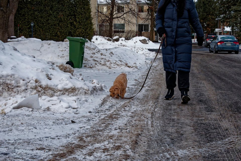 _DSC3177_DxO.jpg