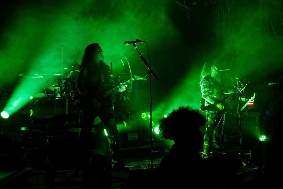 _DSC5537_DxO.jpg