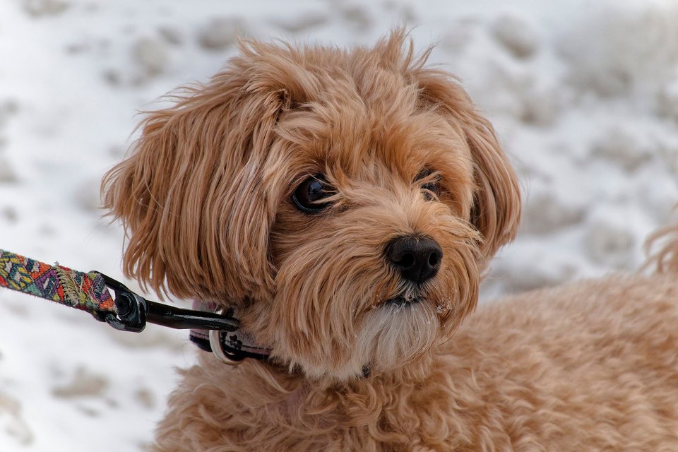 _DSC3137_DxO.jpg