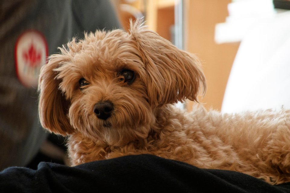 _DSC2760_DxO.jpg