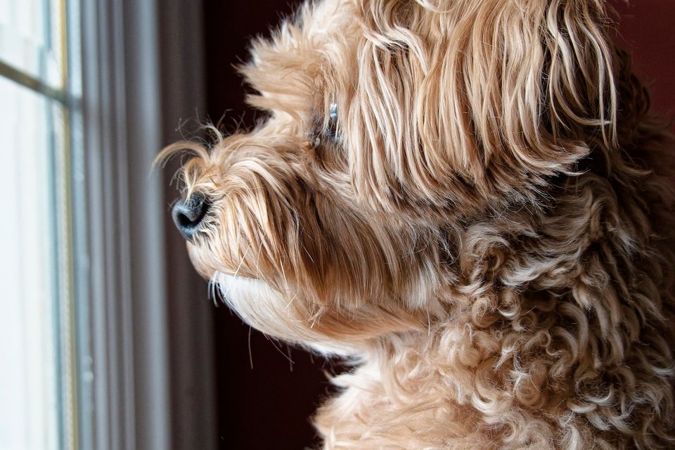 _DSC3002_DxO.jpg