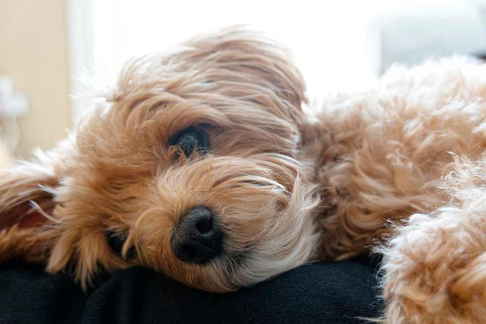 _DSC2807_DxO.jpg