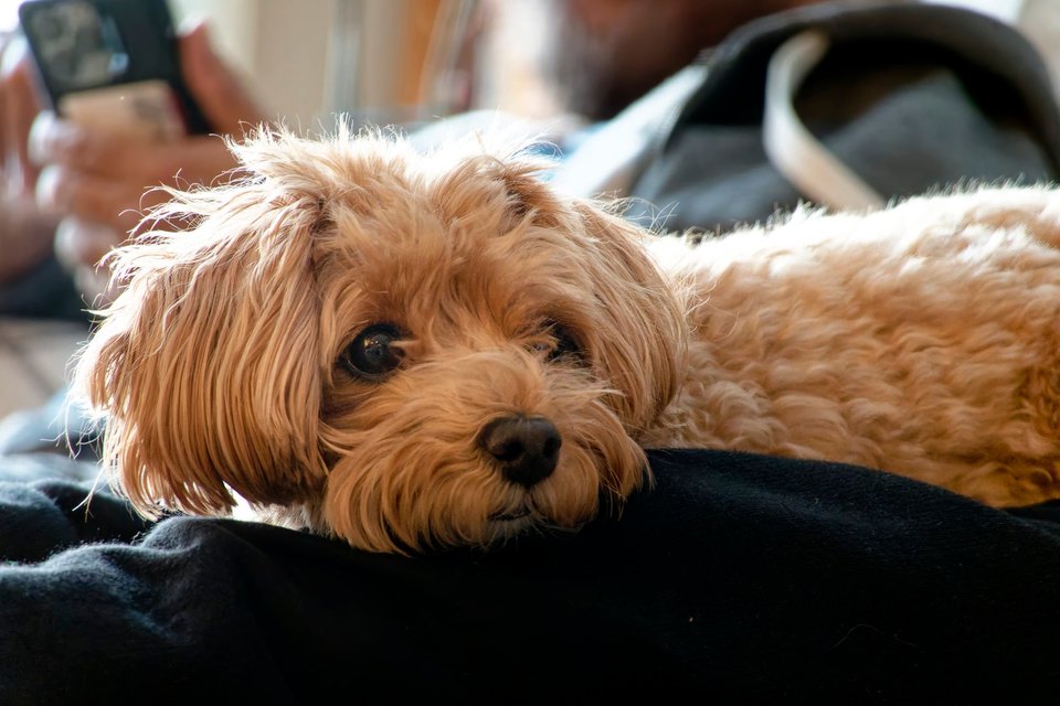 _DSC2738_DxO.jpg