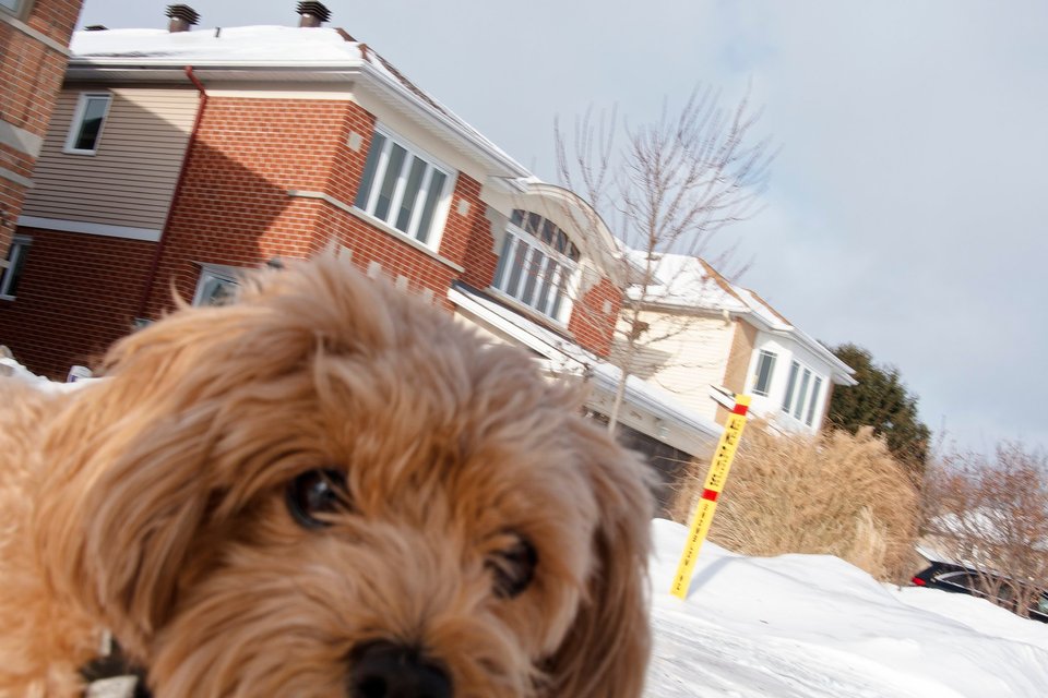 _DSC3084_DxO.jpg