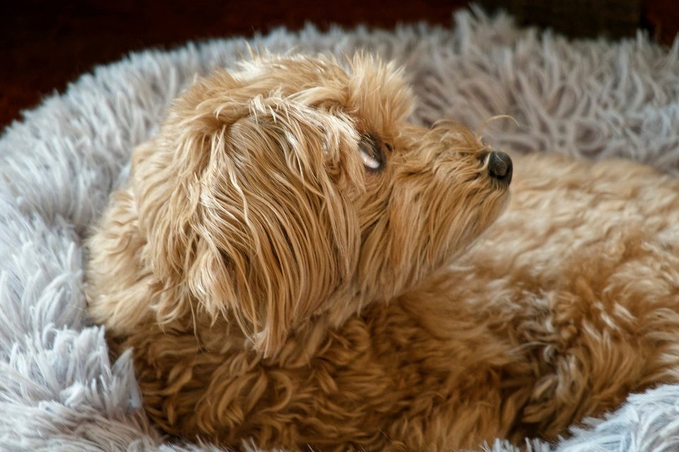 _DSC2883_DxO.jpg