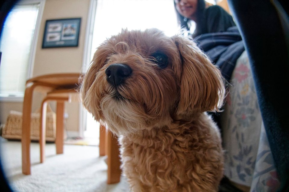 _DSC3072_DxO.jpg