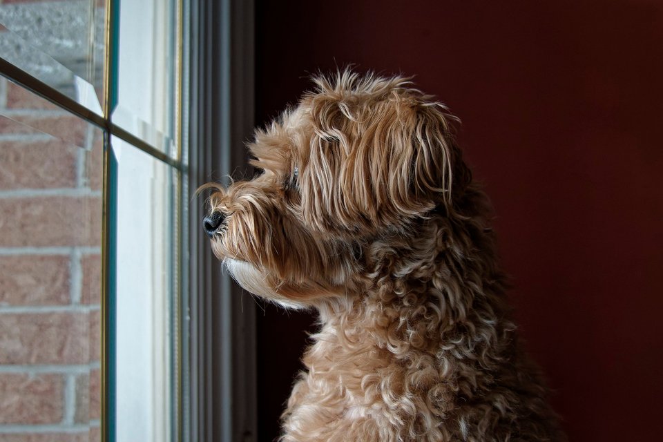 _DSC3004_DxO.jpg